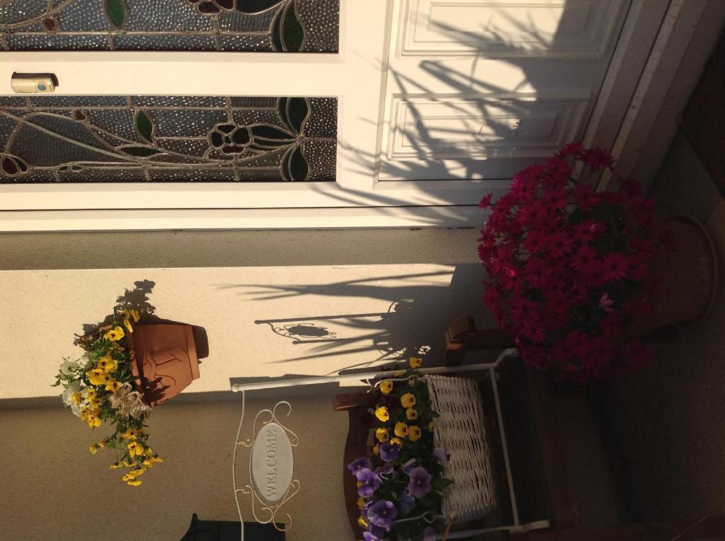 더블린 Annandale House B&B 외부 사진